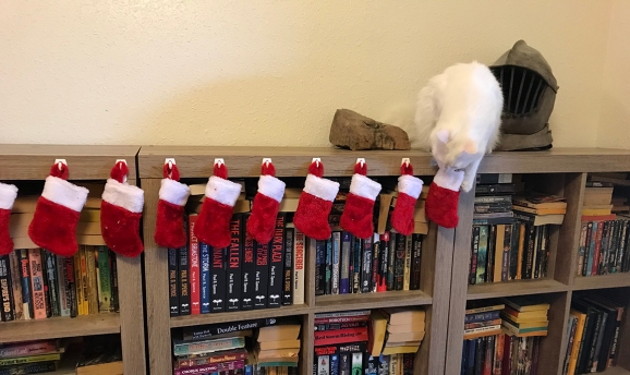 Fluffy white cat on top of bookshelf with small, red Christmas stockings hung along the edge. (Yes, that IS a medieval-style helmet behind the cat.)